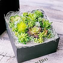 多肉植物 寄せ植え (男前フェイク多肉) fit=scale-down,w=1200